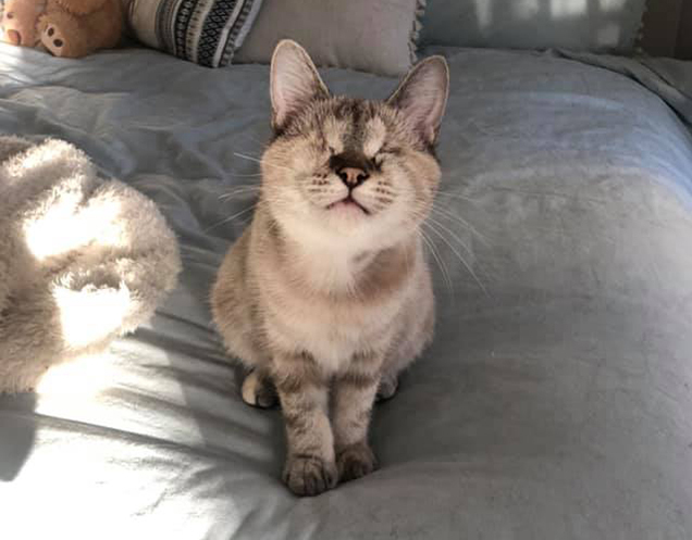 hazel on the couch